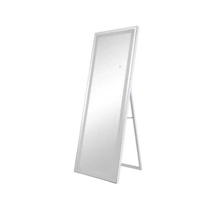 23.5 in. W x 65 in. H Rectangular Silver Full Length Floor Mirror with LED Light Dimmable